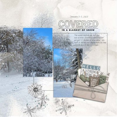 Covered in Snow