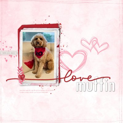 SSL 1.14.23 - Love Muffin