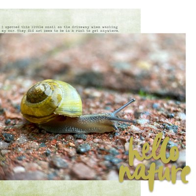 Hello snail
