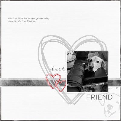 my loyal boy