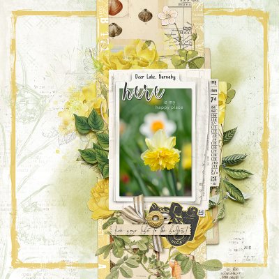 Feb Scraplift Chain