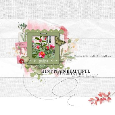 2023-2-4-JustPlainBeautiful.jpg