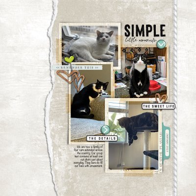 Simple Little Moments (template #1)
