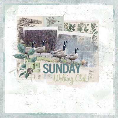 Get Inspired-Sunday Walking Club