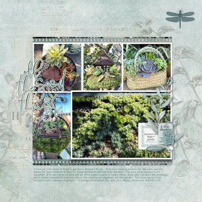Roger's Garden 2023