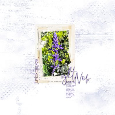 Lets Blend - 02/23