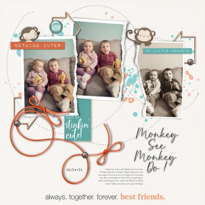 monkey see, monkey do!