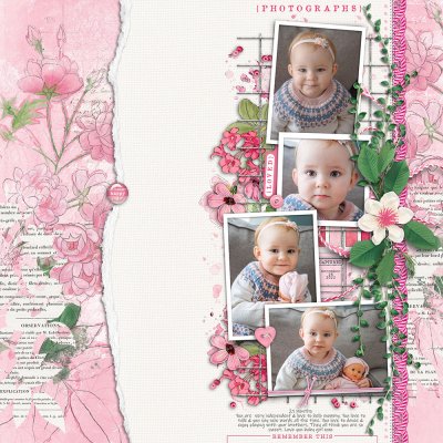 photographs