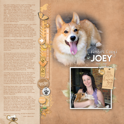Krista's corgi, Joey