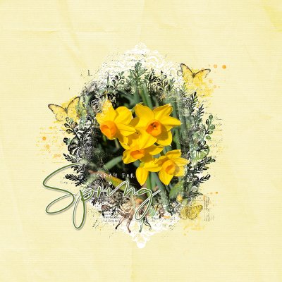 SSL 03/04/23