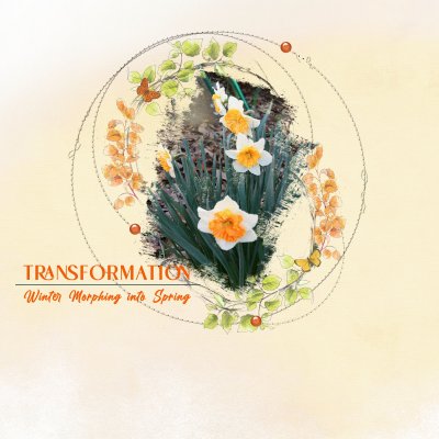Transformation: blend with circles