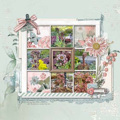 Blooms