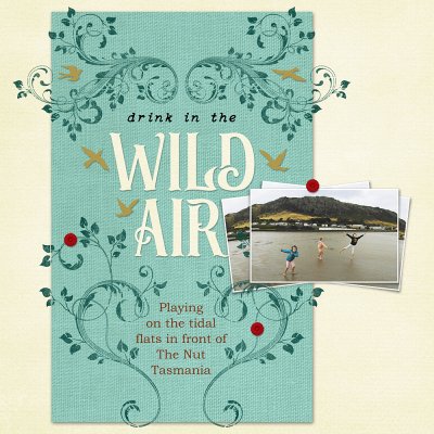 Get Inspired Challenge - Book Covers: Wild Air1