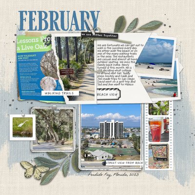 February Summary-1