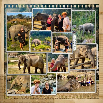 Into the Wild Elephant Camp - Chiang Mai, Thailand - RIGHT