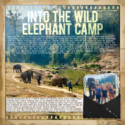 Into the Wild Elephant Camp - Chiang Mai, Thailand - LEFT SIDE