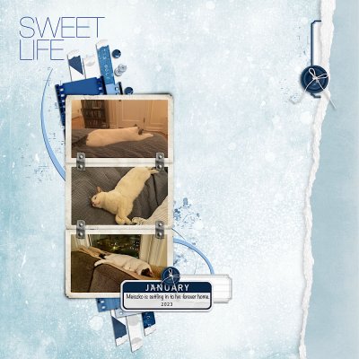 Sweet Life (SSL#3)