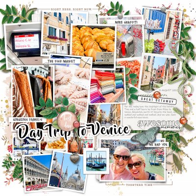 Day Trip to Venice