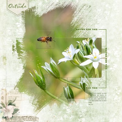 Tucker Creek_01