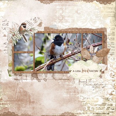 Get Inspired-A Little Bird Told Me