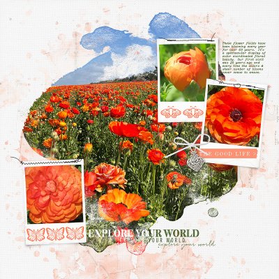 Carlsbad Flower Fields 2023 Pg 2