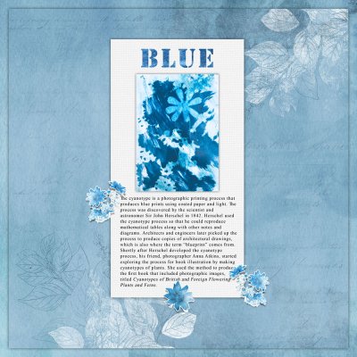 Cyanotypes