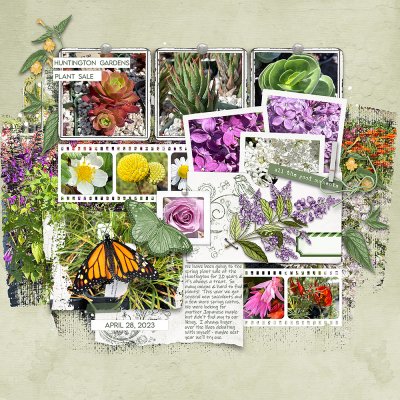 Huntington Plant Sale 2023