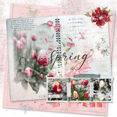 Spring-Frozen