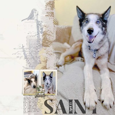 Saint