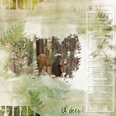 CURATED TEAM - SALMON CREEK