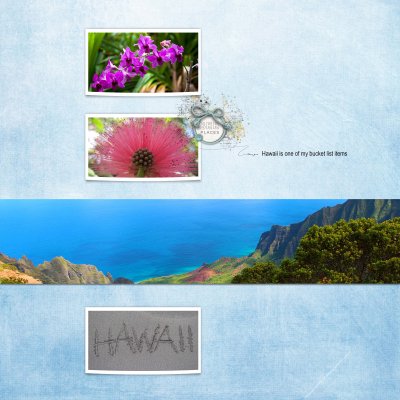 05-2023 Saturday scraplift-narrow view - Hawaii