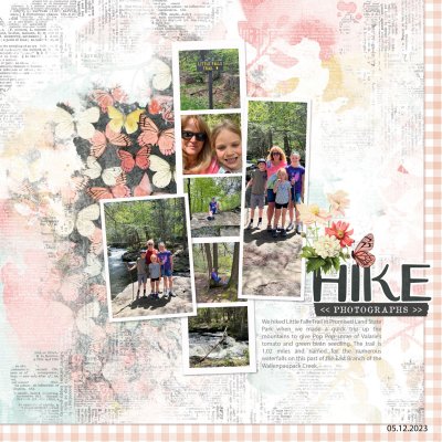 Little-Falls-Hike.jpg