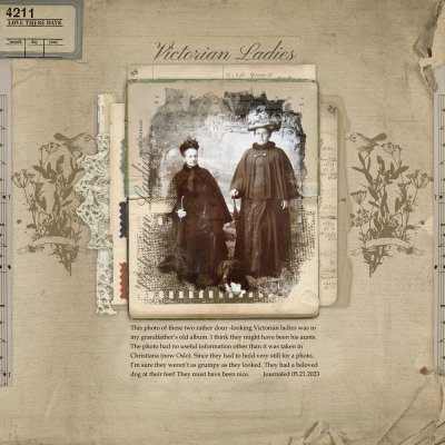 Victorian Ladies