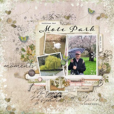 Mote Park