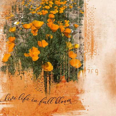 Live Life in Full Bloom