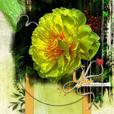 Yellow Peony.jpg
