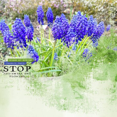 May-23_Lets Blend_web.jpg