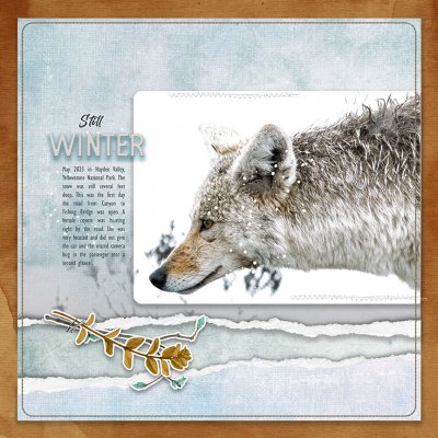 Still Winter