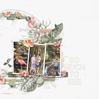 Flamingo Gardens