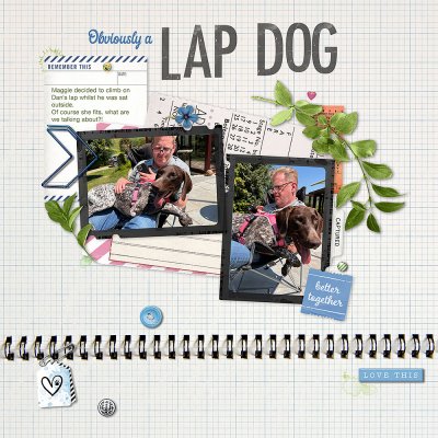Lap Dog