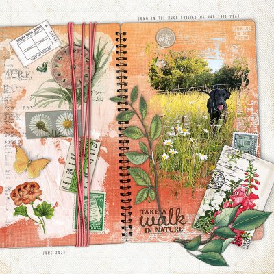 A Juno notebook