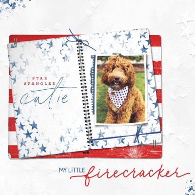 Little Firecracker