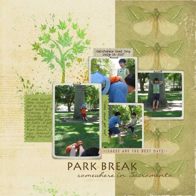 2007 07 18 Park Break