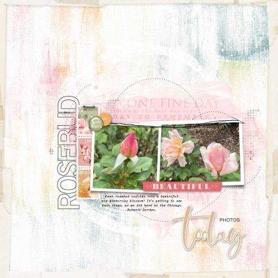 Rosebud