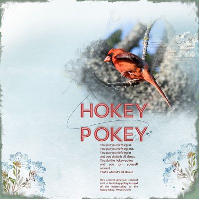 Hokey-Pokey