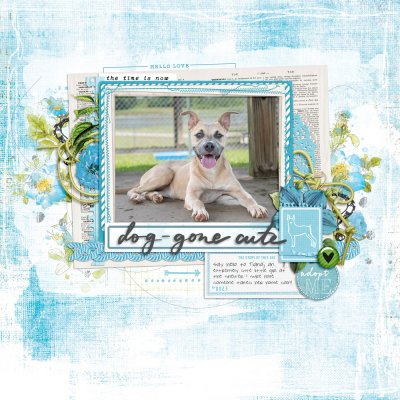 Dog Gone Cute