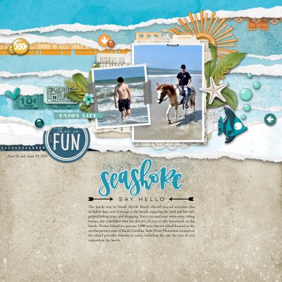 Seashore.jpeg