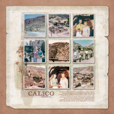 Calico 1981