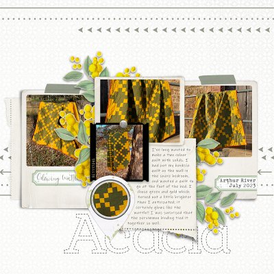 No.7 Acacia.jpg