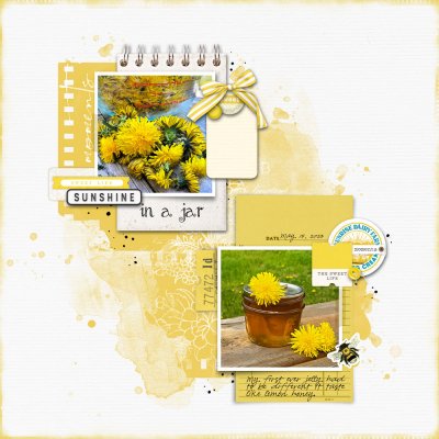 dandelion-jelly.jpg